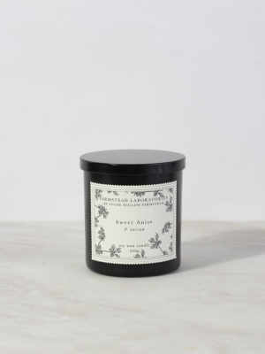 Stone Hollow Farmstead Sweet Anise Candle