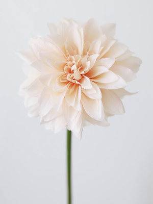 Blush Peach Dahlia Silk Flower - 19"