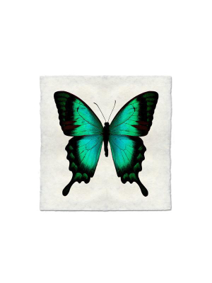 Butterfly #1 Print