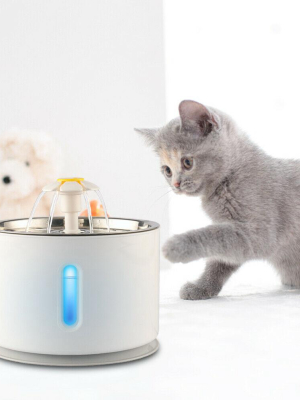 Pet Led Auto Water Fountain (2.4l)