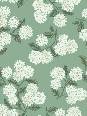 Hydrangea Wallpaper In Jade From The Rifle Paper Co. Collection By York Wallcoverings