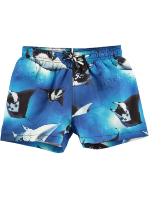 Molo Stingray Boardies