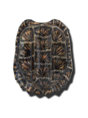 Wjc Design Brown Gator Turtle