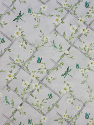 Sample Rosanna Trellis Wallpaper In Green And Gray From The Belvoir Collection By Matthew Williamson