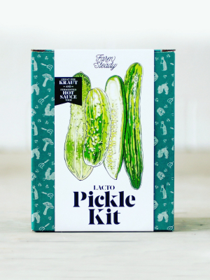 Farmsteady Lacto-pickle Making Kit