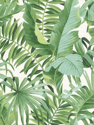 Alfresco Tropical Palm Wallpaper In Green From The Pacifica Collection By Brewster Home Fashions