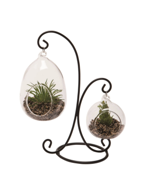 Transpac Glass 8 In. Clear Spring Hanging Succulent Tabletop Display