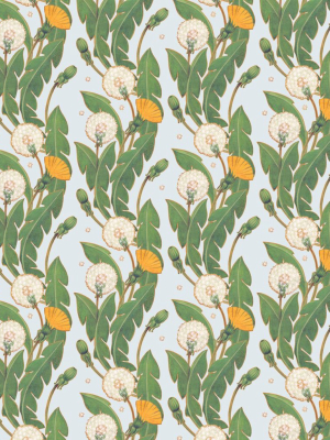 Dandelions Wallpaper In Summer Fields From The Wallpaper Republic Collection By Milton & King