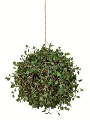 Vickerman Artificial Green Angel Vine Kissing Ball.