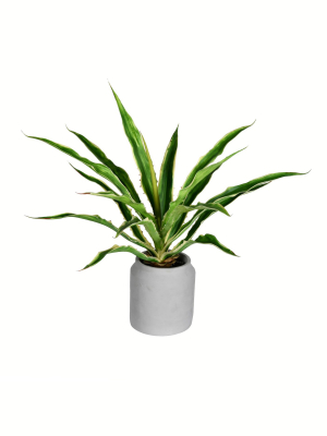 Vickerman 23" Potted Yucca Plant In Classic White Ceramic Pot.