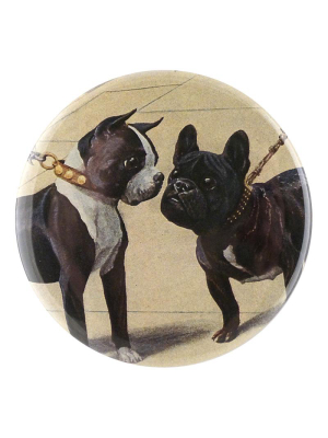 Boston Terrier & French Bulldog