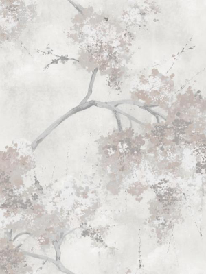 Weeping Cherry Tree Peel & Stick Wallpaper In Beige And Ivory By Roommates For York Wallcoverings