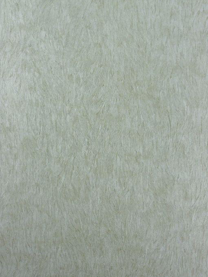 Falcon Wallpaper In Quick Silver Color By Osborne & Little