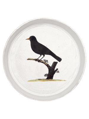 Blackbird Dish