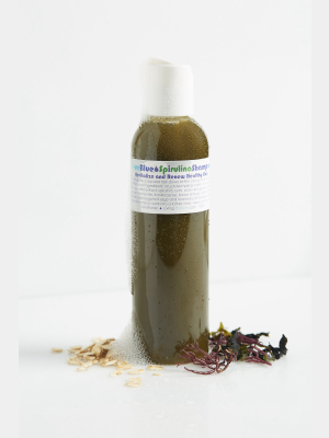 Living Libations True Blue Spirulina Shampoo