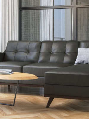 Cardinale Mid-century Sectional 2pcs Charcoal Grey