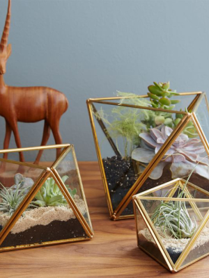 Glass + Metal Faceted Terrariums