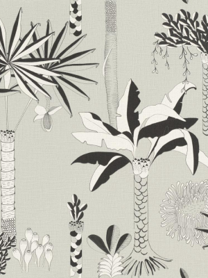 Grey Whimsical Illustrated Botanics Wallpaper By Walls Republic