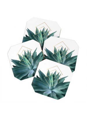 Gale Switzer Agave Geometrics Coaster Set - Deny Designs