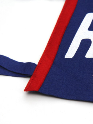 Hey Hey! Chicago Pennant • Oxford Pennant Original