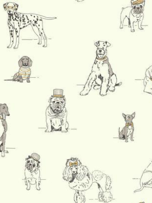 Dog's Life Wallpaper In Grey, Gold, And Ivory By Ashford House For York Wallcoverings