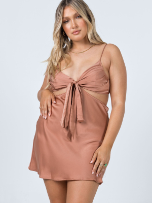 Eden Mini Dress Brown