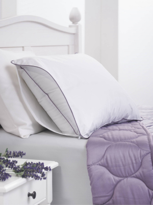 Lavender Infused Pillow Protector White - Dream Infusion