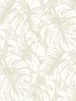 Balboa Botanical Wallpaper In Gold From The Scott Living Collection By Brewster Home Fashions