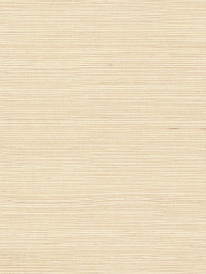 Grasscloth Textured Wallpaper