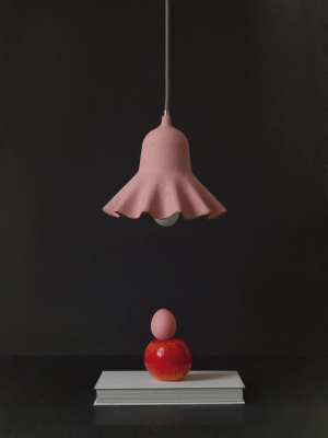 Egg Of Columbus Suspended Carton Lamp In Pink