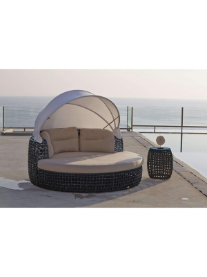 Dynasty Daybed By Skyline Design