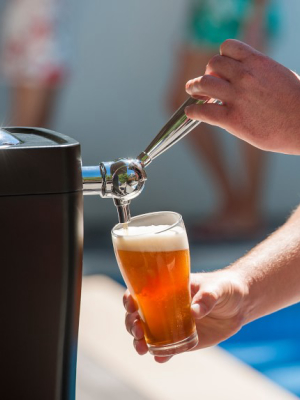 Brewart Brewflo Beer Dispensing System With Kegging