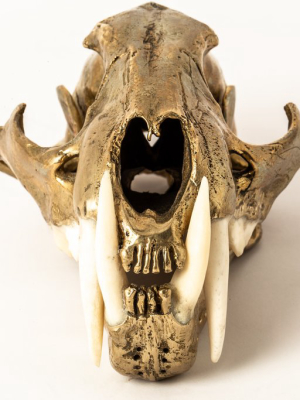 Leopard Skull (pr+b)