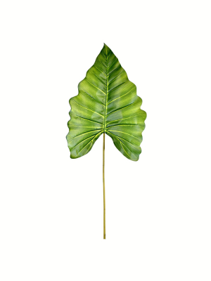 Vickerman 43" Artificial Green Calla Leaf.