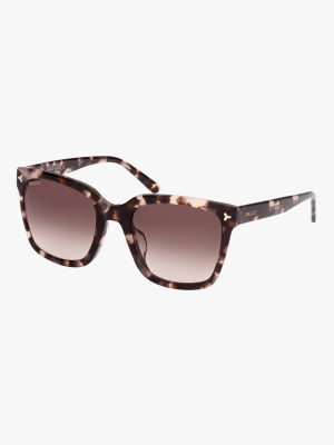 Havana Square Sunglasses