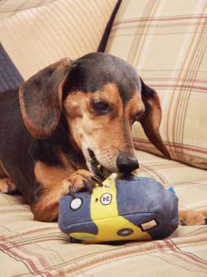 Bark Point & Chew’d Camera Dog Toy