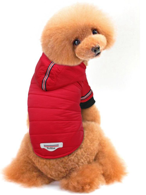 Winter Playtime - Pet Jacket/vest (s-xl)