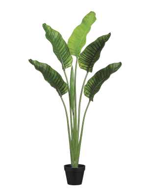 Potted Bird Of Paradise Faux Plant