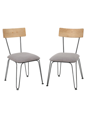 Set Of 2 Orval Dining Chair Gray - Christopher Knight Home