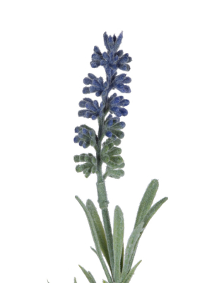 Vickerman 18" Artificial Purple Lavender Leaf Spray.