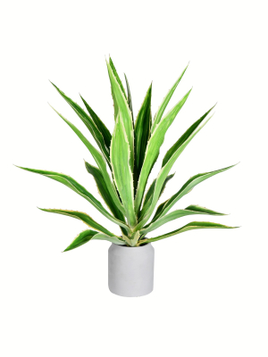 Vickerman 34" Potted Green Yucca Plant.