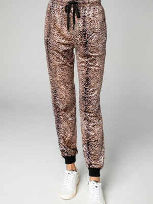 Buddylove Meadow Velour Joggers - Roar