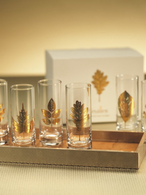 Set Of 6 Feuilles Shot Glasses