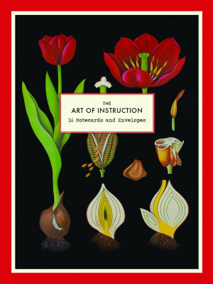 The Art Of Instruction Notecard Set