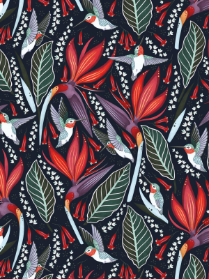 Hummingbirds Wallpaper In Black Cherry From The Wallpaper Republic Collection By Milton & King