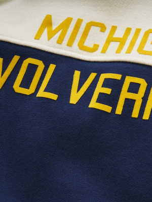 University Of Michigan | Colorfield Sweatshirt | Michigan Wolverines Apparel