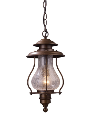 Wikshire 1-light Outdoor Pendant In Coffee Bronze