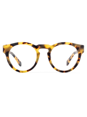 Voyager Optical 05