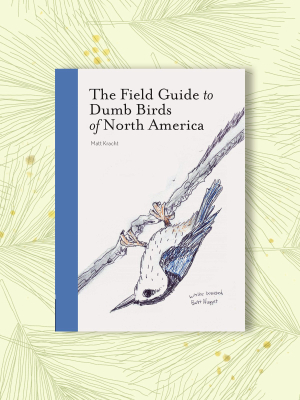 Field Guide To Dumb Birds Of North America