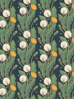 Dandelions Wallpaper In Summer Nights From The Wallpaper Republic Collection By Milton & King